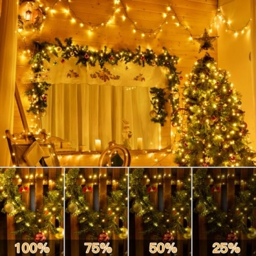 Ollny Christmas Lights 164FT with Remote and 500 LEDs