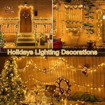 Ollny Christmas Lights 164FT with Remote and 500 LEDs