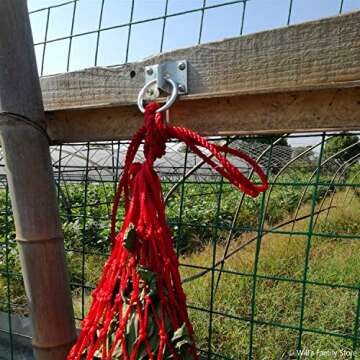 Will's Family Store 2 inch Cross Tie Rings Through Plate Zinc Plated Pack of 2