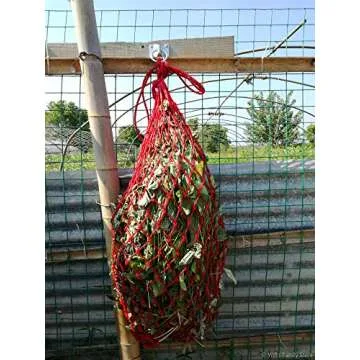 Will's Family Store 2 inch Cross Tie Rings Through Plate Zinc Plated Pack of 2