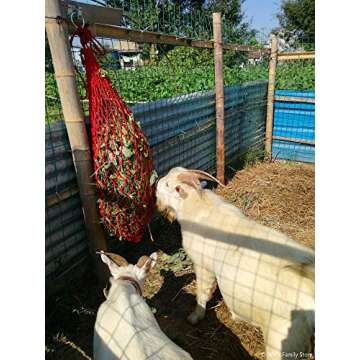 Will's Family Store 2 inch Cross Tie Rings Through Plate Zinc Plated Pack of 2