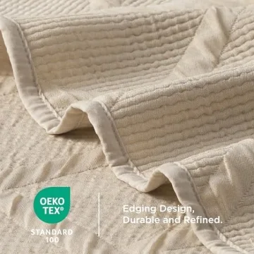 Lightweight Bedsure Queen Quilt Set for All Seasons