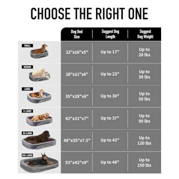 OhGeni Orthopedic Dog Bed for Medium Dogs, Dog Couch Design with Egg Foam Support, Removable, Washable Plush Cover and Non-Slip Bottom with Four Sided Bolster Cushion (Black)