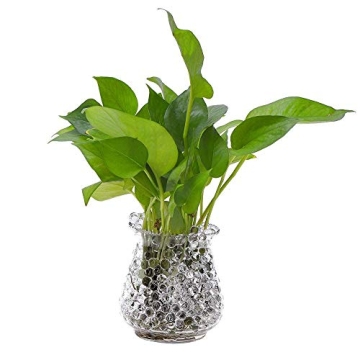 EBOOT 10000 Pieces Gel Soil Water Crystal Beads Gel Jelly Water Gems Vase Filler (Clear)