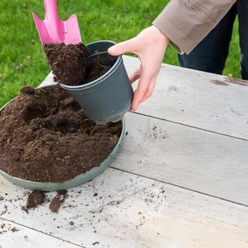 Mini Colorful Metal Hand Shovel Set for Kids Gardening