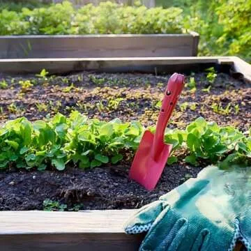 Mini Colorful Metal Hand Shovel Set for Kids Gardening