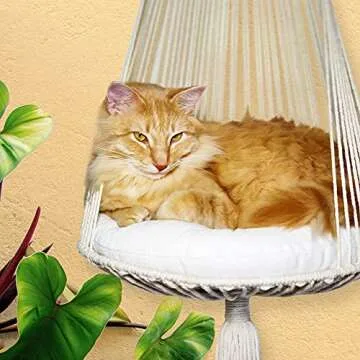 Macrame Cat Bed Hammock With Cat Bed Pillow- Cat Perch- Hanging Shelves Bed-Boho Indoor Climbing Shelf, Boho Floating Tree Hammocks, Space Saving Furniture Perches and Shelves for Wall (Natural Straw)