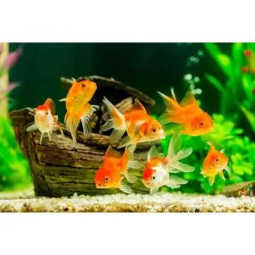 Danner Supreme Aqua-Mag 1200 GPH Water Pump for Aquariums