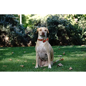 Lionheart Dog Collar Adjustable Bowtie for All Sizes