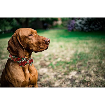 Lionheart Dog Collar Adjustable Bowtie for All Sizes