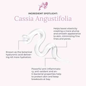 Amazing Cosmetics Anti Aging Face Primer, Face Moisturizer Botanicals for All Day Hydration and Blur...