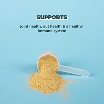 Ancient Nutrition Dog Protein Powder - 20g Per Serving, Gluten Free