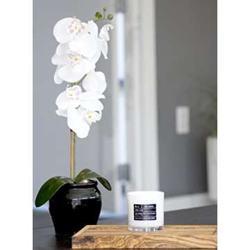 Lulu Candles | Island Coconut | Luxury Scented Soy Jar Candle | Hand Poured in The USA | Highly Scented & Long Lasting (9 Oz.)