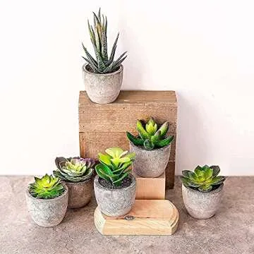 Fake Plant For Desk Decor, Faux Plants Indoor, Succulents Plants Artificial, Small Fake Plants For Office, Fake Succulent Plants, Fake Cactus Plant in Pots 2.3" - 6 Pc Set Mini Fake Succulents