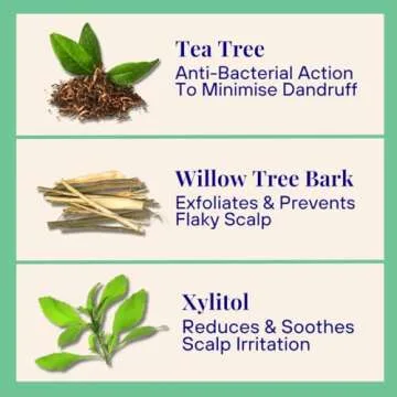 Exfoliating Foaming Powder Shampoo for Dandruff | 20x Washes | Vegan, Eco-Friendly, Tea Tree, Salicylic Acid 0.7 Oz Mini Aluminum Bottle