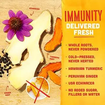 Vive Organic Immune Support Shot, Cold-Pressed Ginger, Turmeric, & Echinacea, Gluten Free, Vegan, Immunity Boost Original, 2 Fl Oz (Pack of 12)