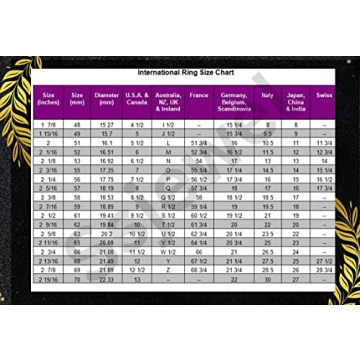 Ssjewel Full Iced Out Panther Ring 14K Gold Plated Jewelry