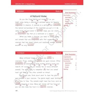 Daily Paragraph Editing Tool for Engaging Writing