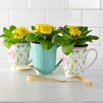 Euro Ceramica Charlotte Stoneware 16-Piece Dinnerware Set