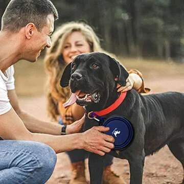Collapsible Dog Bowls for Travel - Convenient & Portable