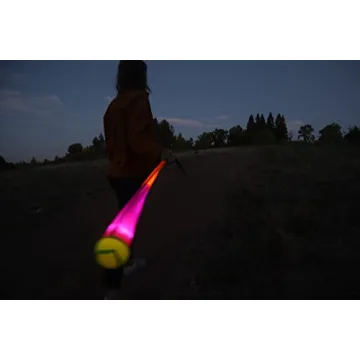 Foxtail LED Light Up Game for Outdoor Fun