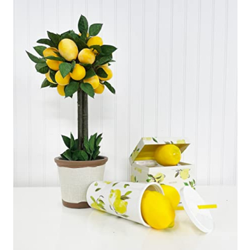 Kate Spade New York Insulated Tumbler with Reusable Straw, 20 Ounce Travel Cup with Lid, Lemons