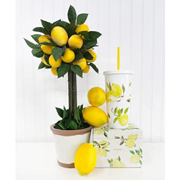 Kate Spade New York Insulated Tumbler with Reusable Straw, 20 Ounce Travel Cup with Lid, Lemons