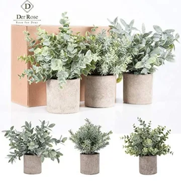 Mini Potted Eucalyptus Plants - 3 Pack by Der Rose