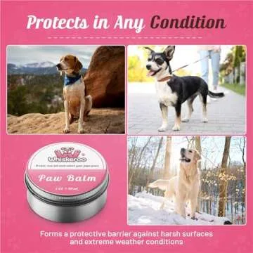 Whiskeroo Dog Paw Balm – Natural Paw Protector with Mango Butter & Tea Tree Oil, Repairs Dry, Cracked Paws – Lick-Safe, Ideal for Winter, Hot Pavement & Rough Terrain (2 oz)