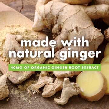 Bonine Ginger Root Extract Liquid Capsules - Non-Drowsy Motion Sickness Relief - 40 mg Ginger Supplement for Morning Sickness & Nausea Relief - Cruise Ship Essentials - 60 Capsules