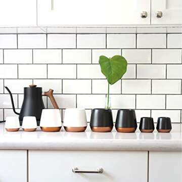 Fellow Joey Double Wall Ceramic Coffee Mug - Refined and Sophisticated, Matte White, Single 8 oz Cup