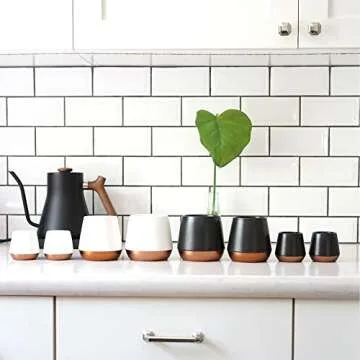 Fellow Joey Double Wall Ceramic Coffee Mug 8 oz