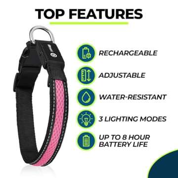 Balk Pets LED Dog Collar - High Visibility & Waterproof for Safe Night Walks