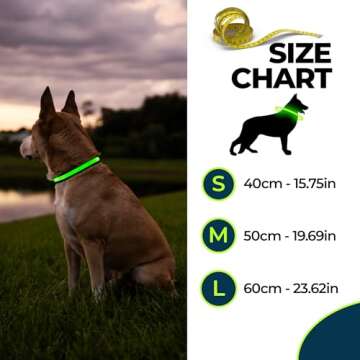 Balk Pets LED Dog Collar Stylish & High Visibility