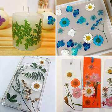 42 PCS Real Dried Pressed Leaf and Flower Herbarium Kit