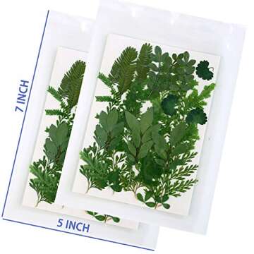 42 PCS Real Dried Pressed Leaf and Flower Herbarium Kit