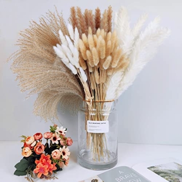 Stylish 150Pcs Pampas Grass for Home Decor and Events