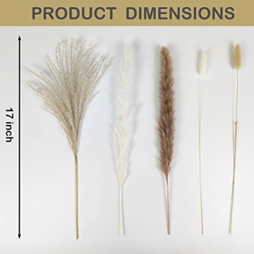 Stylish 150Pcs Pampas Grass for Home Decor and Events