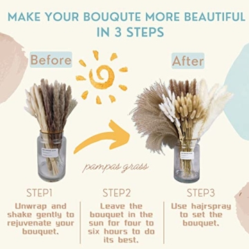 Stylish 150Pcs Pampas Grass for Home Decor and Events