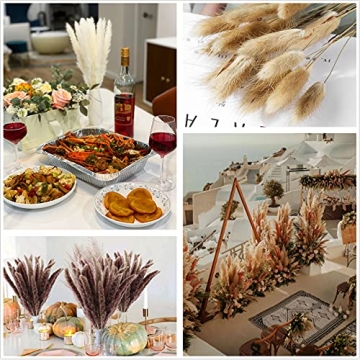 Stylish 150Pcs Pampas Grass for Home Decor and Events