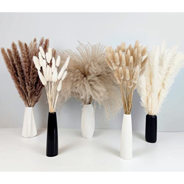 Stylish 150Pcs Pampas Grass for Home Decor and Events