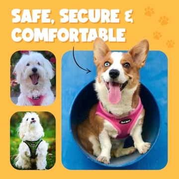 Bark Appeal Blue Step-in Dog Harness for Small-Medium Pets