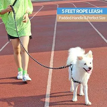 BAAPET 2/4/5/6 FT Dog Leash with Comfortable Padded Handle and Highly Reflective Threads for Small Medium and Large Dogs (5FT-1/2'', Grey)