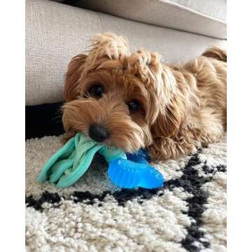 Nylabone Freezer Bone Puppy Chew Toy, Soothing Teething Toys for Puppies, Rubber & Terry Cloth, Peanut Butter Flavor, Small - Up to 25 lbs, 1 Count