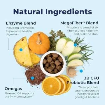 Glandex Anal Gland Soft Chew Treats with Pumpkin for Dogs Digestive Enzymes, Probiotics Fiber Supplement for Dogs Boot The Scoot (Advanced Strength Duck/Bacon Chews (Vegetarian), 60ct)