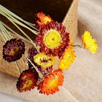 Colorful Dried Flower Bouquet for Home Decor and Gifts
