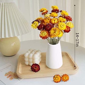 Colorful Dried Flower Bouquet for Home Decor and Gifts