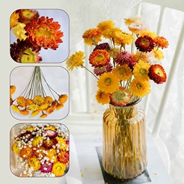 Colorful Dried Flower Bouquet for Home Decor and Gifts