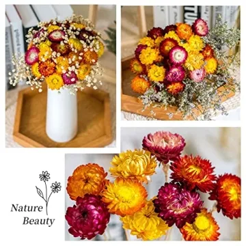 Colorful Dried Flower Bouquet for Home Decor and Gifts
