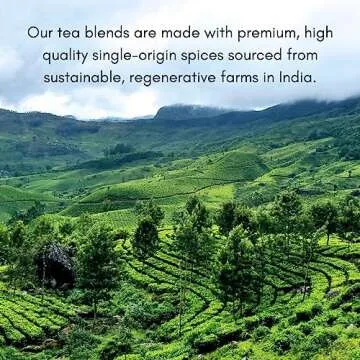 The Chai Box - Sweetened Chai Tea Concentrate - Vegan, Gluten Free, All Natural Ingredients, Black Tea, w/Cinnamon & Cardamom - Prepare using 1:1 Ratio of Milk & Concentrate - Pack of 2-16oz Bottles